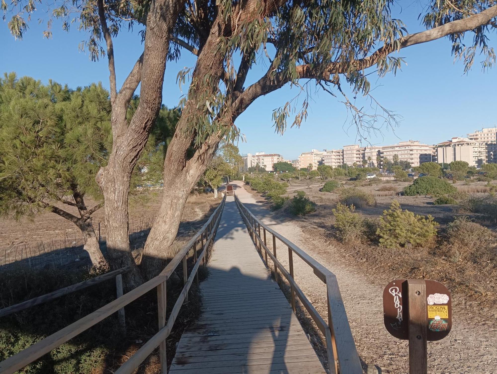 Bonito Apartamento 150 M De La Playa La Mata لا ماتا المظهر الخارجي الصورة