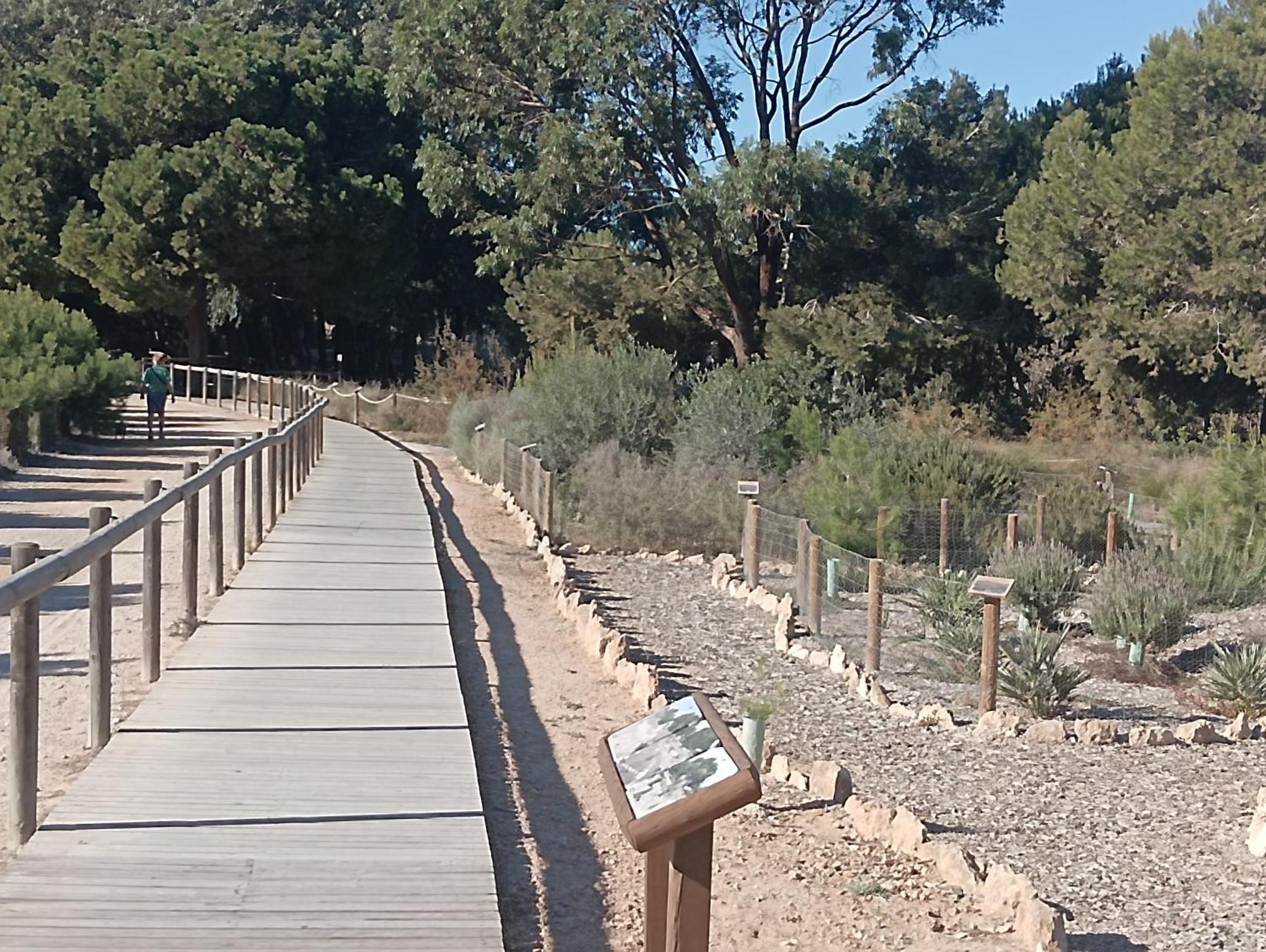 Bonito Apartamento 150 M De La Playa La Mata لا ماتا المظهر الخارجي الصورة