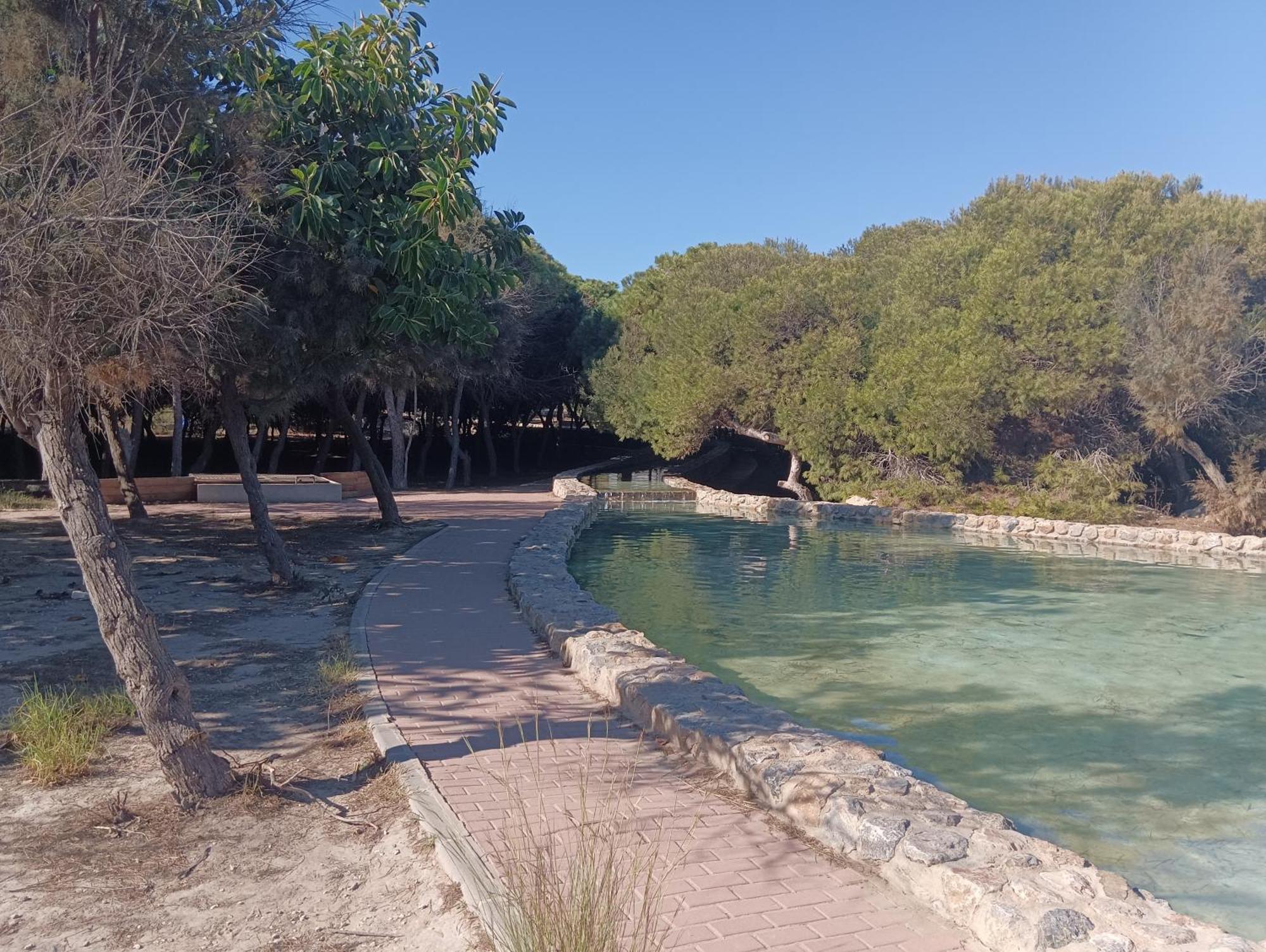 Bonito Apartamento 150 M De La Playa La Mata لا ماتا المظهر الخارجي الصورة